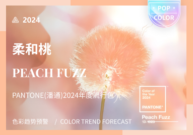 Peach Fuzz（柔和桃色调） -- PANTONE（潘通）2024年度代表色